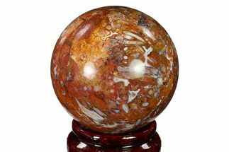 Colorful, Polished Petrified Palm Root Sphere - Indonesia #150142
