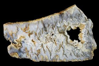 8.7" Graveyard Plume Agate Slab - Eastern Oregon - Crystal #150518