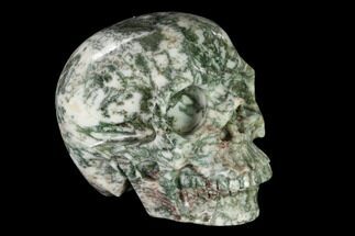 Realistic, Polished Tree Agate Skull #150875