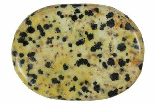 Polished Dalmatian Jasper Worry Stones - Size #152546