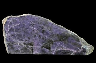 5.3" Polished Morado Opal Section - Central Mexico - Crystal #153650