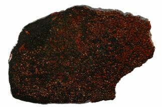 Gorgeous, Clear Coated Dinosaur Bone (Gembone) Slab - Utah #156446