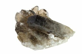 3" Dark Smoky Quartz Crystal Cluster - Brazil - Crystal #154821