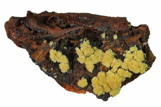 Mimetite and Calcite Crystals on Limonitic Matrix - Mexico #157142