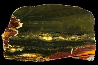 11.2" Polished "Packsaddle" Tiger Eye Slab - Western Australia - Crystal #158177