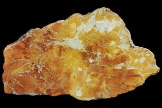 7" Polished Maligano Jasper Slab - Indonesia - Crystal #162475