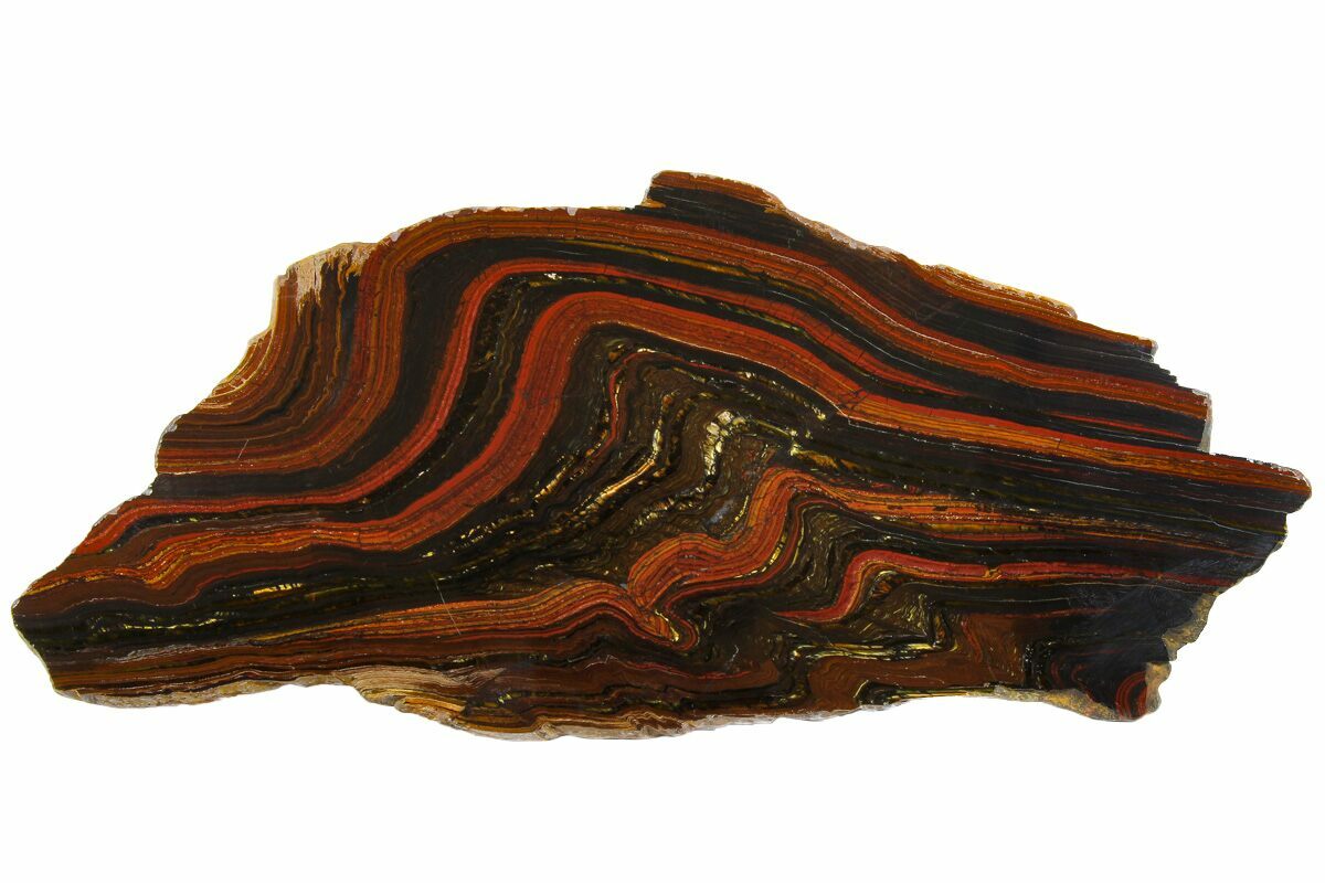 11.2" Polished Tiger Iron "Stromatolite" Slab 3.02 Billion Years For