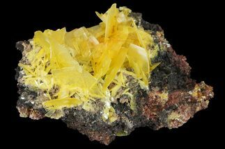 Yellow Wulfenite Crystal Cluster - Mexico #163157