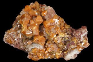 Lustrous, Wulfenite Crystal Cluster - Los Lamentos, Mexico #163161
