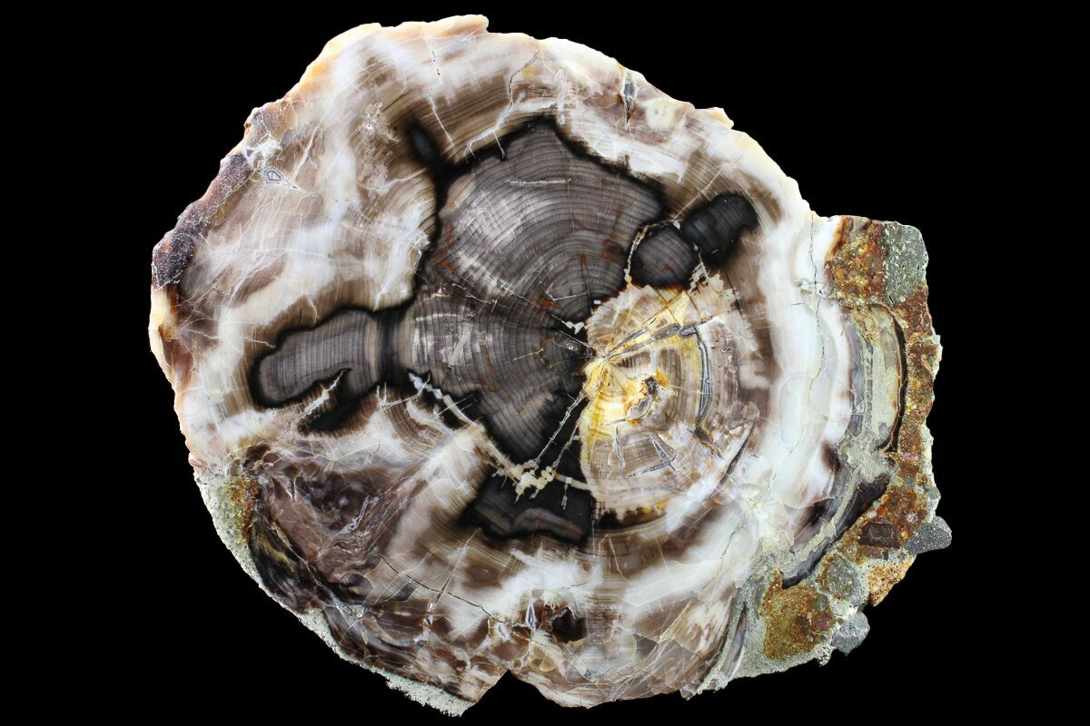 Agate Geode #1 with Base by Western Woods Distributing