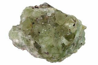 2.9" Green Cubic Fluorite Crystal Cluster - Morocco - Crystal #164554