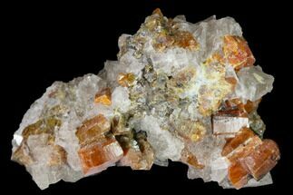1.5" Vanadinite and Calcite Crystal Association - Apex Mine, Mexico - Crystal #165334
