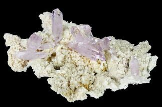 Beautiful, Amethyst Crystal Cluster - Las Vigas, Mexico #165624