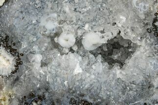 3.1" Las Choyas "Coconut" Geode Half with Quartz & Chalcedony - Mexico - Crystal #165564