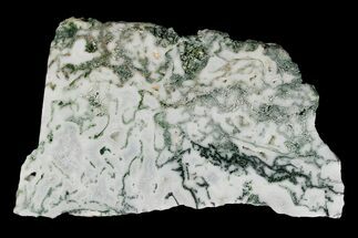5.2" Polished Tree Agate Slab - India  - Crystal #167465