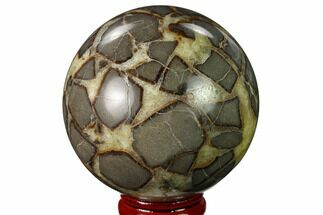 2.5" Polished Septarian Sphere - Utah - Crystal #167613