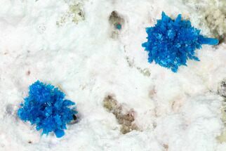 Vibrant Blue Cavansite Crystals on Stilbite & Mordenite - India #168248