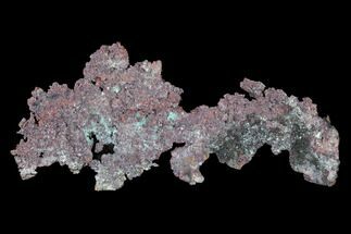 2.9" Natural, Native Copper with Cuprite - Carissa Pit, Nevada - Crystal #168907
