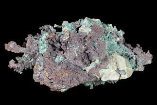2.7" Natural, Native Copper with Cuprite - Carissa Pit, Nevada - Crystal #168908