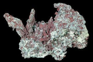 Natural, Native Copper with Cuprite - Carissa Pit, Nevada #168897