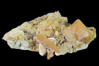 2.2" Orange Wulfenite and Botryoidal Mimetite - La Morita Mine, Mexico - Crystal #170308