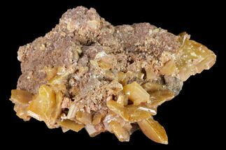 2.4" Orange Wulfenite Crystal Cluster - La Morita Mine, Mexico - Crystal #170321