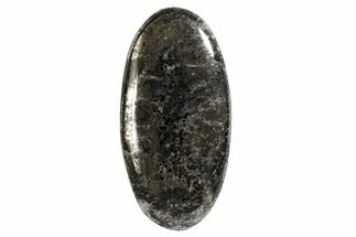 1.1" Dendritic Native Silver Oval Cabochon - Crystal #171354