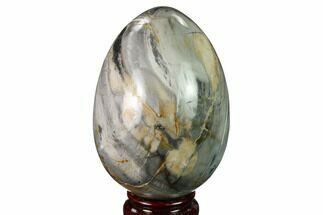 Polished Petrified Wood Egg - Madagascar #172776