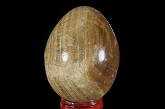 Polished, Banded Aragonite Egg - Morocco #172838
