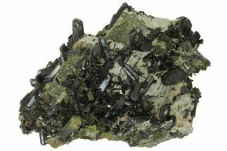 Lustrous, Epidote Crystal Cluster on Actinolite - Pakistan #164848