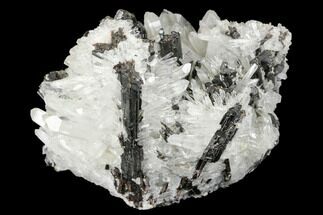 Lustrous Hubnerite and Quartz Crystal Association - Peru #173306