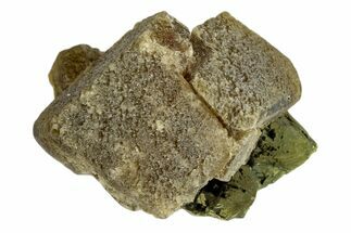 1.4" Siderite Crystals on Chalcopyrite - Peru - Crystal #173391