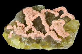 Yellow Cubic Fluorite With Pink Barite - Morocco #173970
