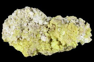 3.45" Sulfur Crystals on Matrix - Steamboat Springs, Nevada - Crystal #174215