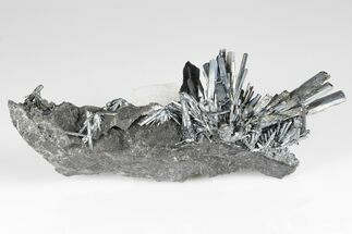 Metallic Stibnite Crystal Spray On Matrix - Xikuangshan Mine, China #175897