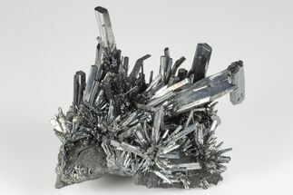 3.15" Metallic Stibnite Crystal Spray On Matrix - China - Crystal #175891