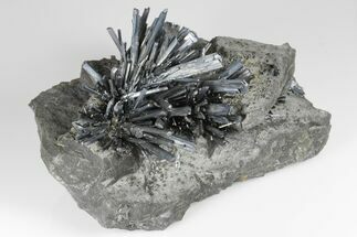 Metallic Stibnite Crystal Spray On Matrix - Xikuangshan Mine, China #175926