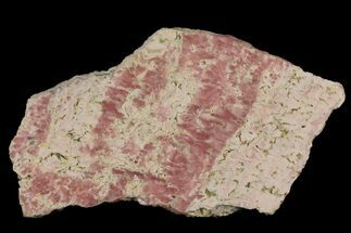 3.6" Rhodochrosite Stalactite Slab - Argentina - Crystal #176266