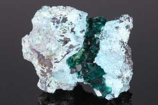 Dioptase Crystals In Shattackite - Congo #175957