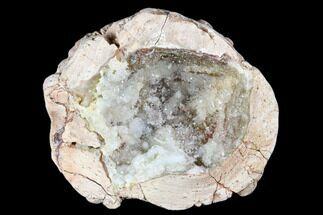 4.4" Crystal Filled Dugway Geode (Polished Half) - Utah - Crystal #176750