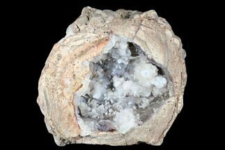 4.2" Crystal Filled Dugway Geode (Polished Half) - Utah - Crystal #176753