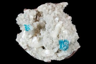 Vibrant Blue Cavansite Clusters on Stilbite - India - Crystal #176789