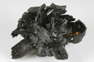 Black Tourmaline (Schorl) Crystal Cluster - Namibia #177536