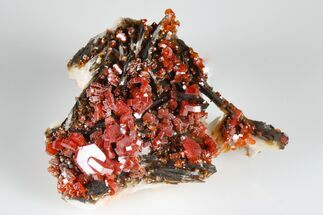 Ruby Red Vanadinite Crystals on Pink Barite - Midelt, Morocco #178097