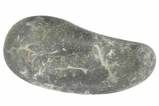 Fossil Whale Ear Bone - Miocene #177824