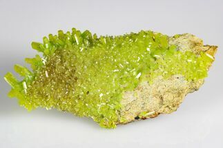 Apple-Green Pyromorphite Crystal Cluster - China #179815