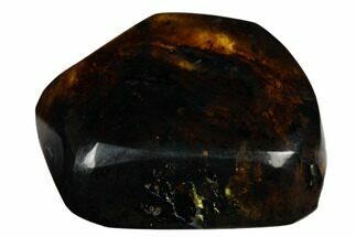 Polished Chiapas Amber ( grams) - Mexico #180499