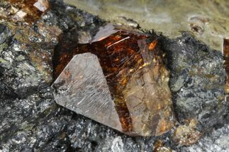 Fluorescent Zircon Crystals in Biotite Schist - Norway #175860