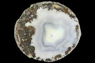 4.4" Las Choyas "Coconut" Geode Half with Agate & Quartz - Mexico - Crystal #180562