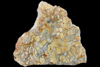 6.7" Polished Ibis Jasper Slab - Madagascar - Crystal #180748